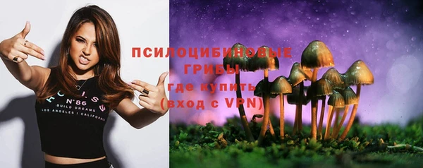 spice Вязьма