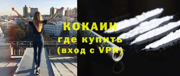 эйфоретик Вяземский