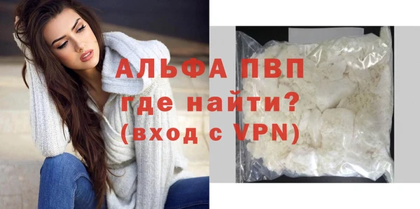 эйфоретик Вяземский