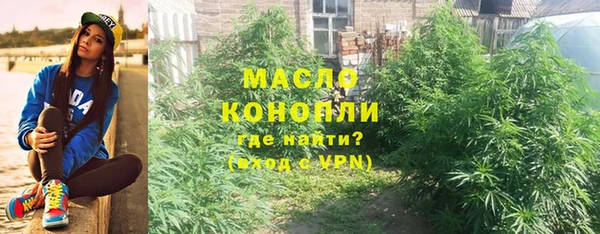 эйфоретик Вяземский