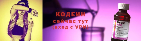 эйфоретик Вяземский