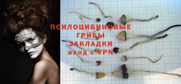 дмт Вязники