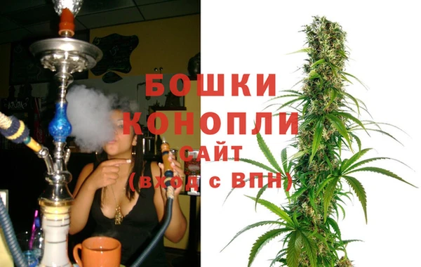 эйфоретик Вяземский