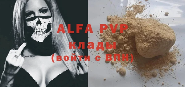 эйфоретик Вяземский